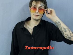 Tamerapollo