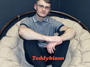 Teddybizon