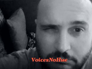 VoicesNoHue