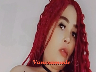 Vanesamude