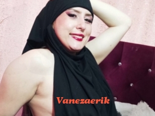 Vanezaerik