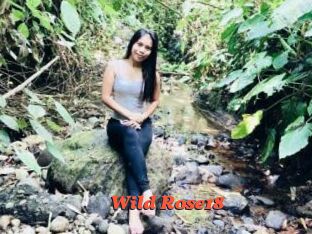 Wild_Rose18