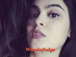 Wandafudge