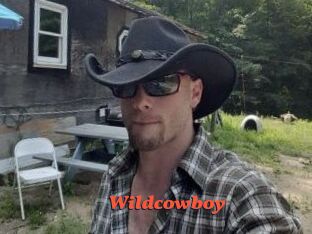 Wildcowboy