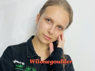 Wilonegoulder